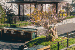 再次补仓东部湾新